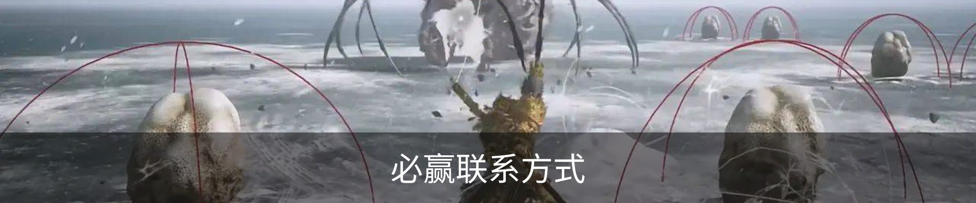 必赢联系方式